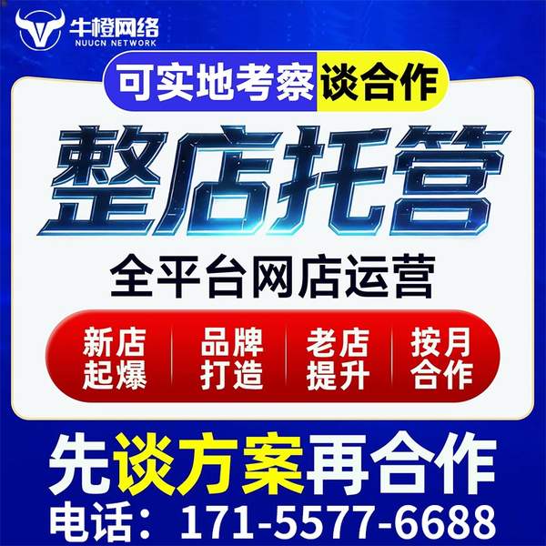 章丘电商代运营