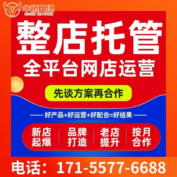 章丘电商代运营