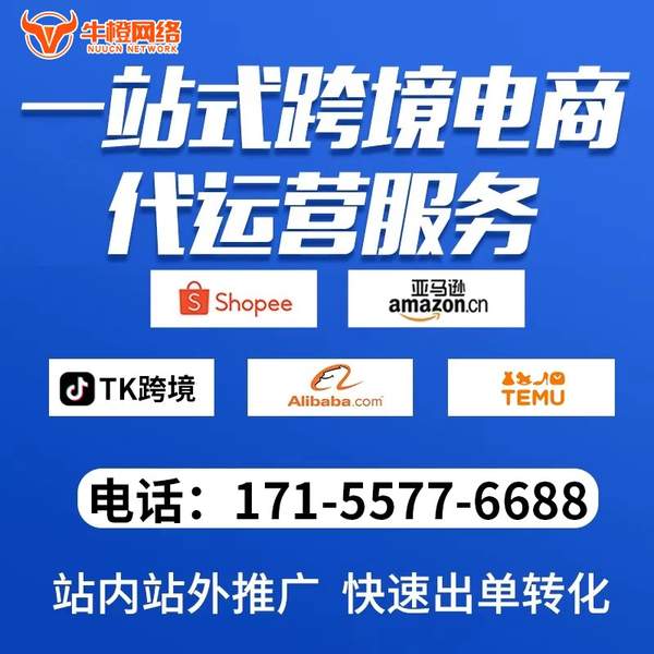 章丘电商代运营